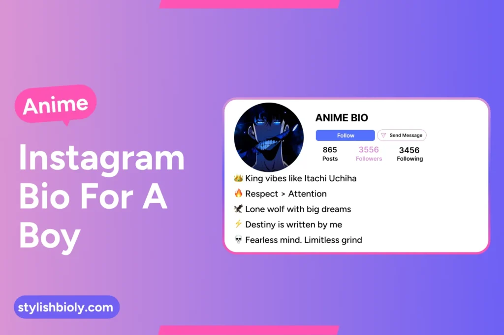 Anime Instagram bio for boy