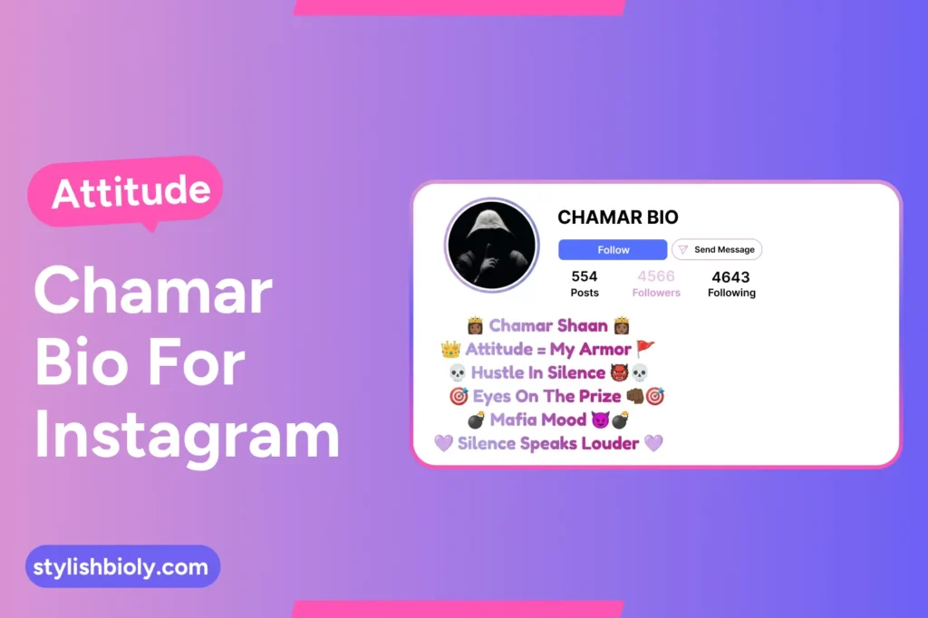 Attitude Chamar Bio For Instagram