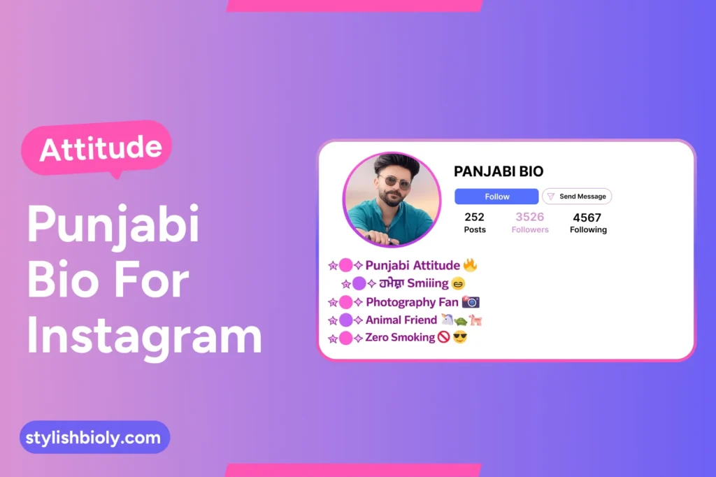 Attitude punjabi bio for instagram