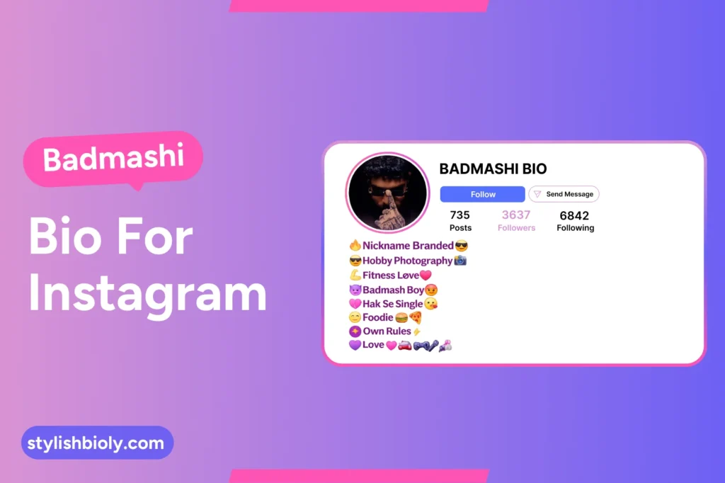 Badmashi Bio For Instagram