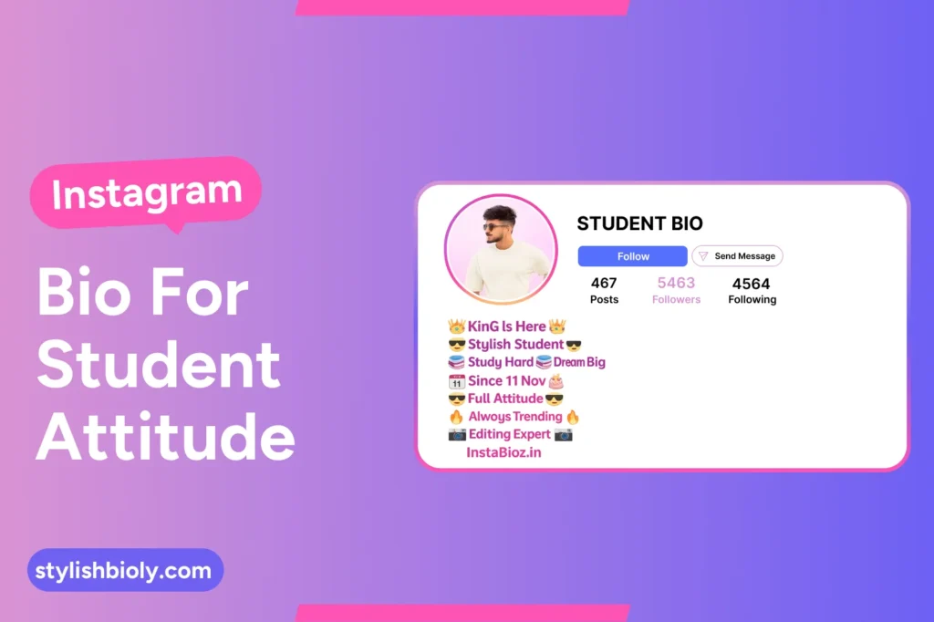 Instagram Bio For Student Attitude