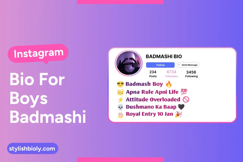 Instagram bio for boys badmash