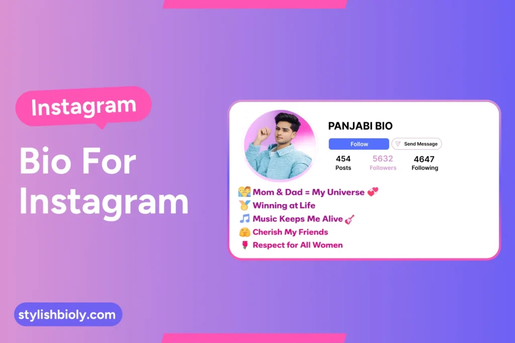 Instagram bio for boys in punjabi