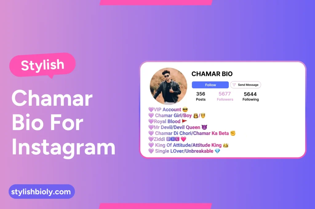 Stylish Chamar Bio For Instagram