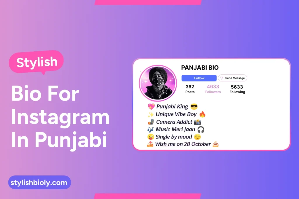 Stylish bio for Instagram in Punjabi