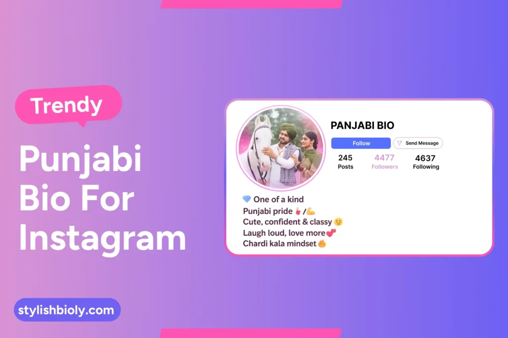 Trendy punjabi bio for instagram