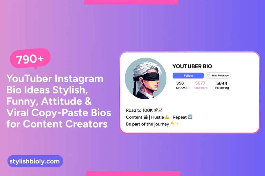 790+ Instagram bio for a YouTuber