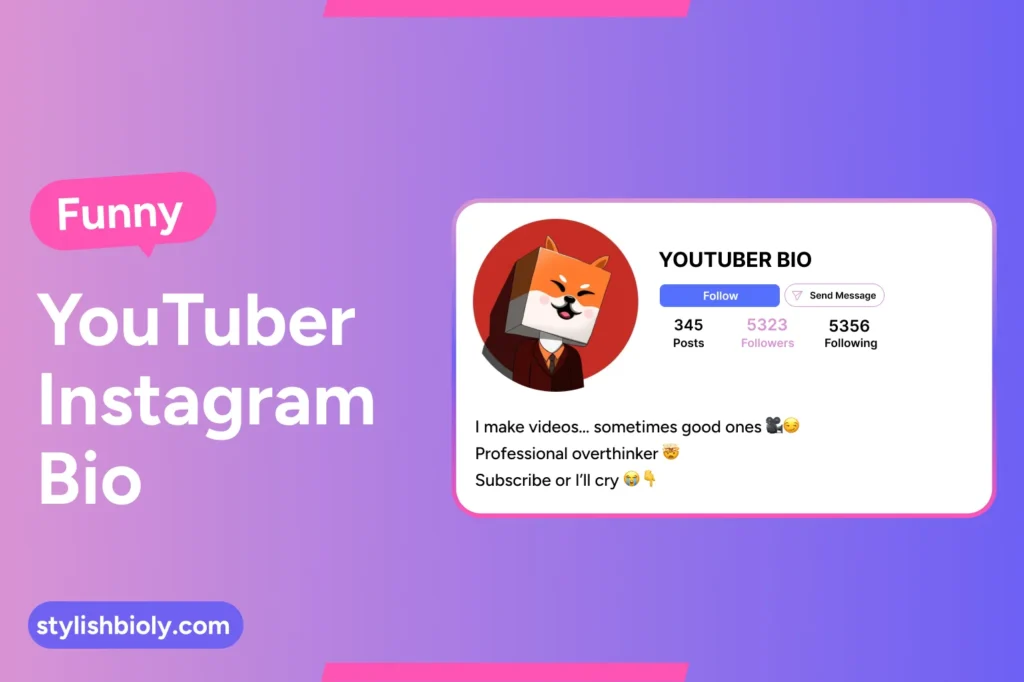 Funny YouTuber Instagram Bio