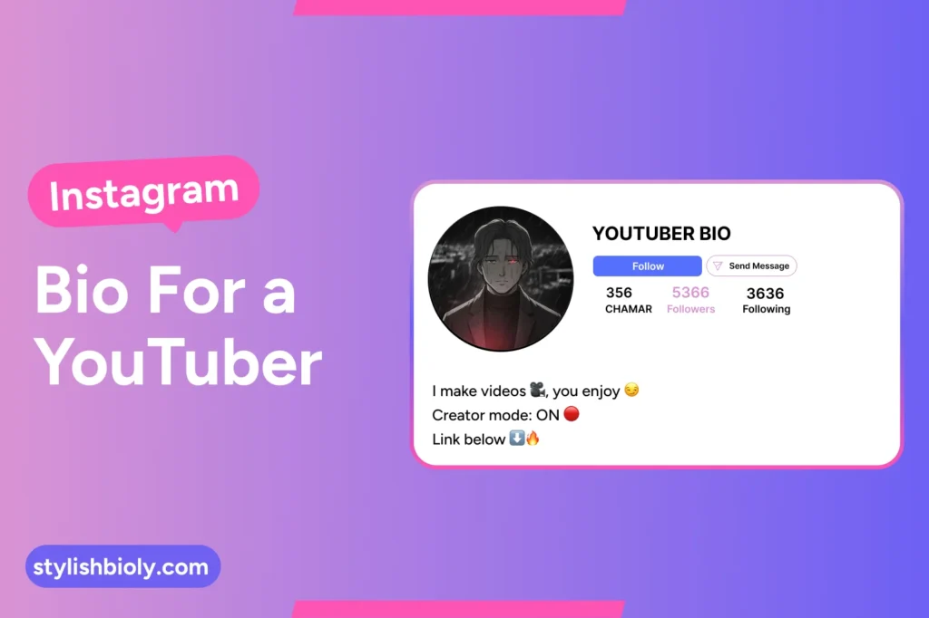Instagram bio for a YouTuber