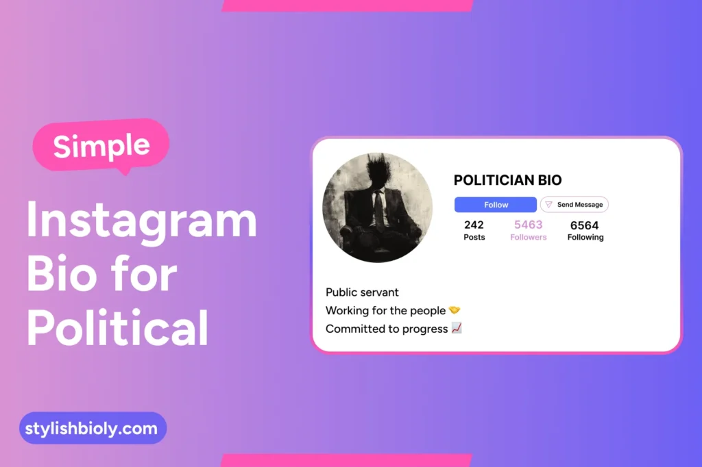Simple Instagram Bio for Political