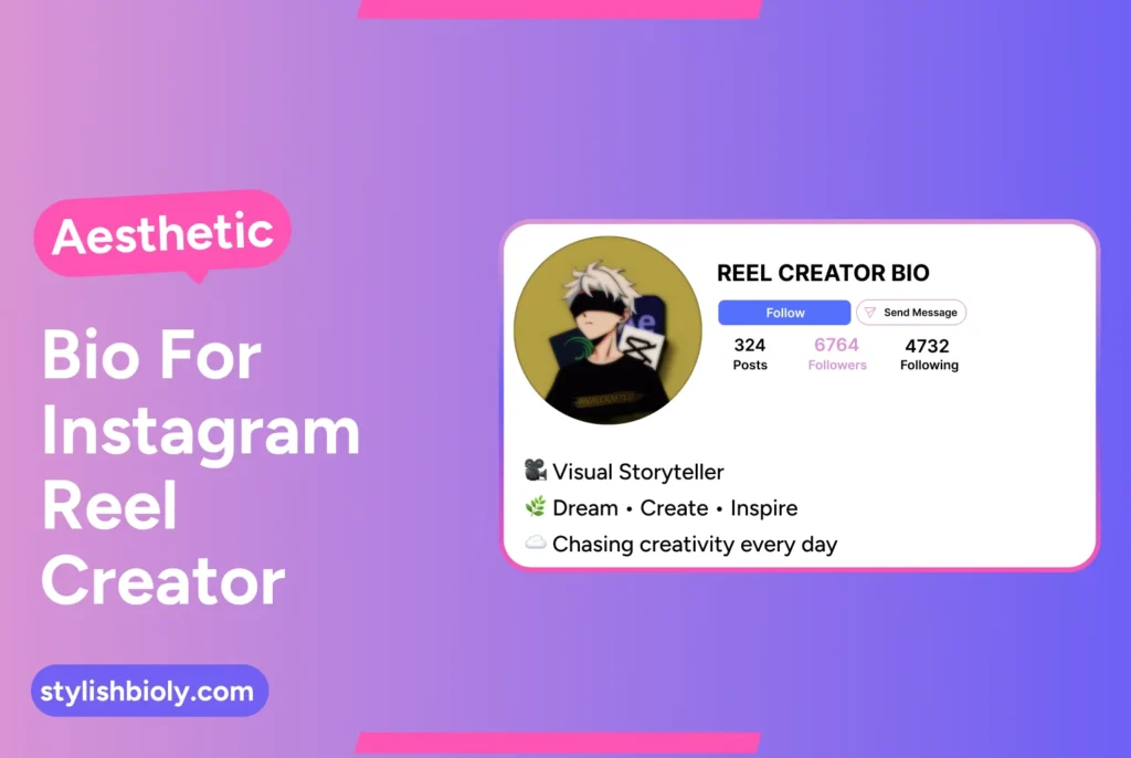 Aesthetic bio for instagram reel creator