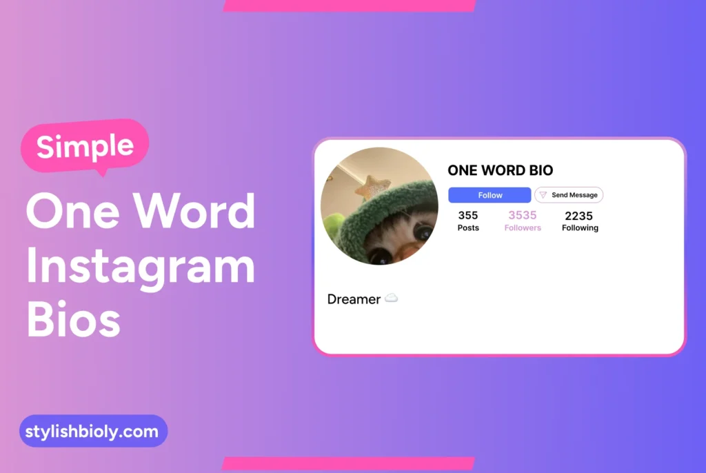 Simple One Word Instagram Bios